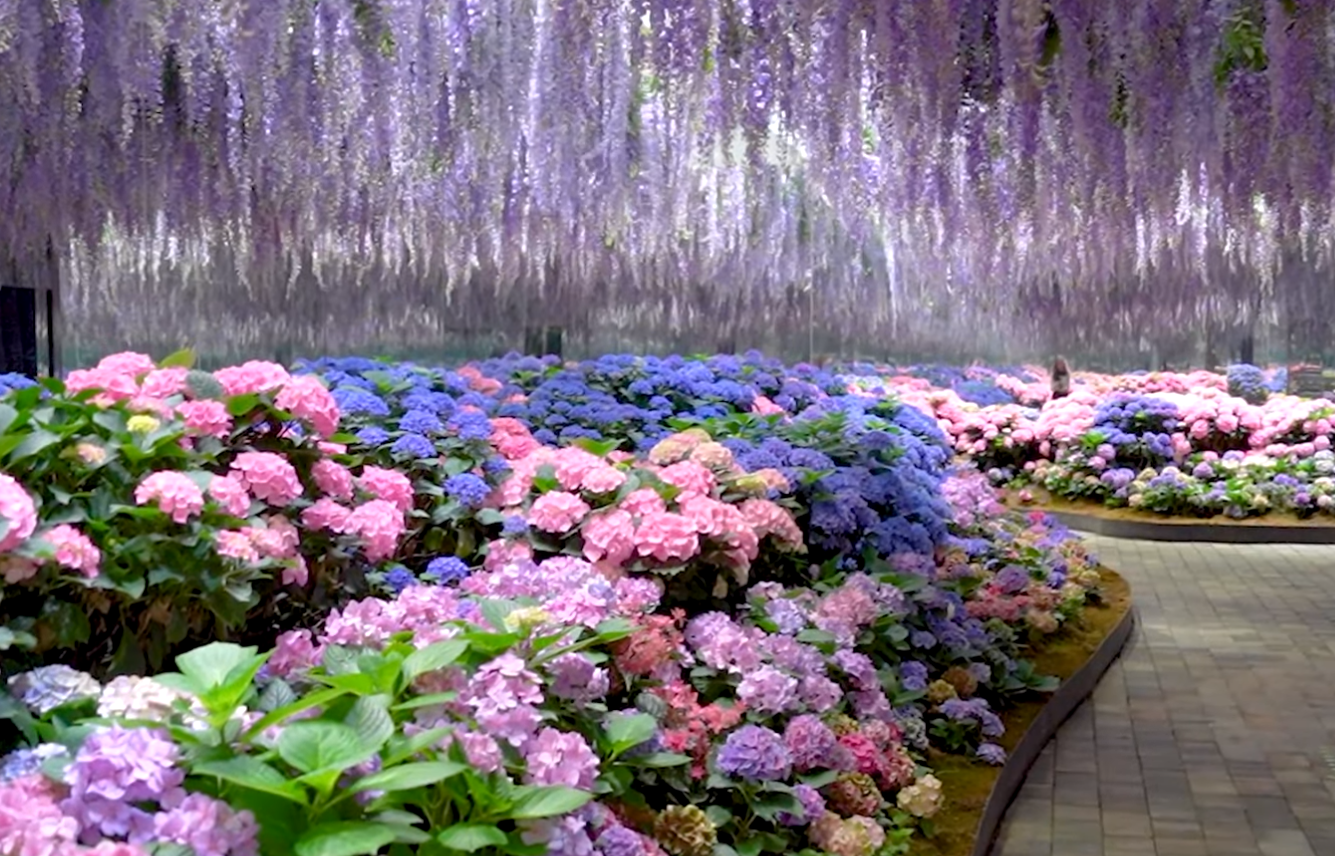 가평 베고니아새정원