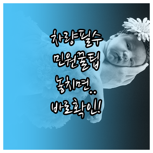 차량 소유자 필수 자동차민원 대국민포..