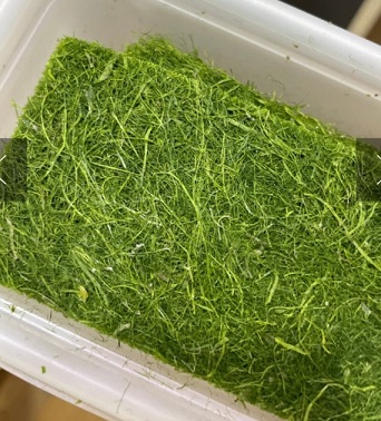 6시내고향-서산-감태-서동감태-서산동부시장