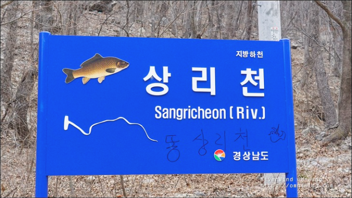 천성산 상리천 야생화 트레킹