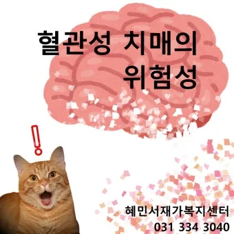 혈관성치매 원인 증상 치료법과 예방 생활습관_12
