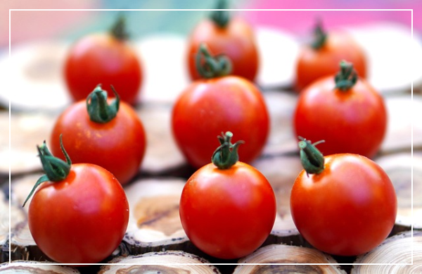 스테비아토마토의 부작용 및 주의사항