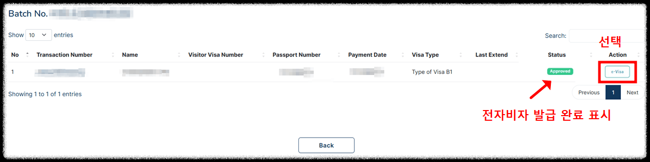 발리 여행 전자비자 발급절차13