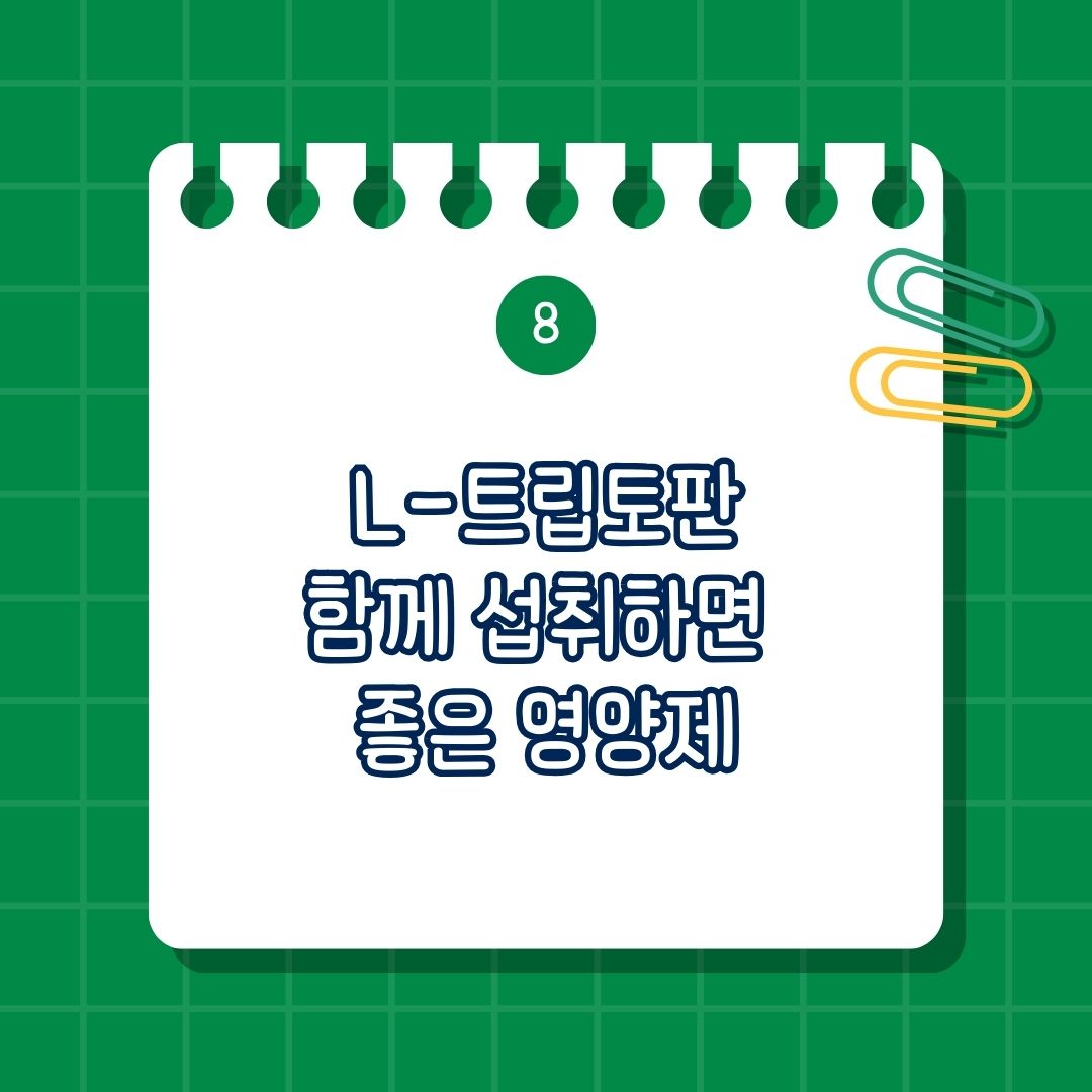 L-트립토판(L-Tryptophan) 함께 섭취하면 좋은 영양제, 함께 복용하면 도움 되는 영양제, 같이 먹으면 좋은 성분