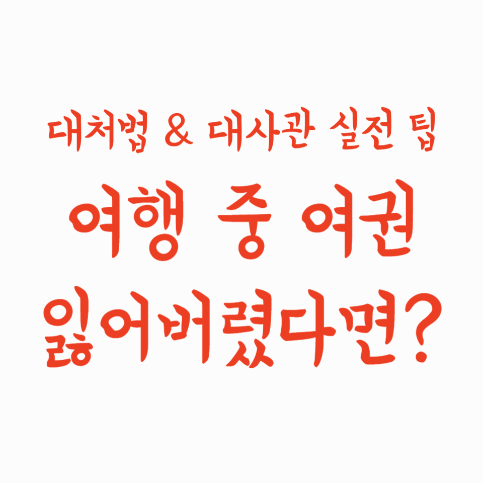 여행 중 여권 잃어버렸다면? 대처법 &amp; 대사관 실전 팁