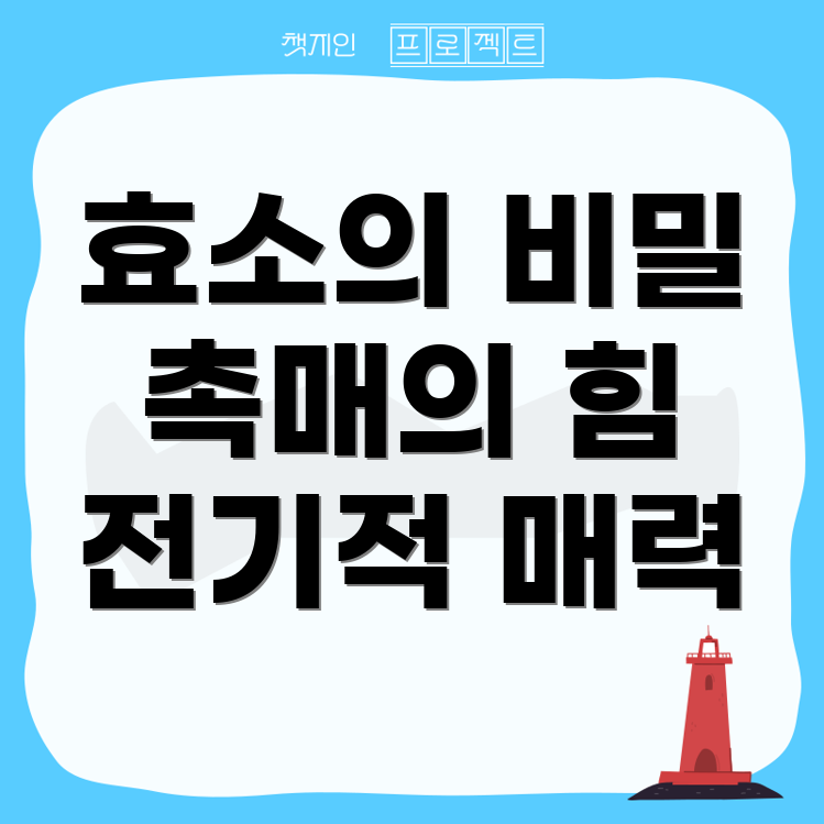 효소의 동전위능