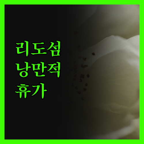 리도 섬에서의 낭만적인 휴가 호텔 베