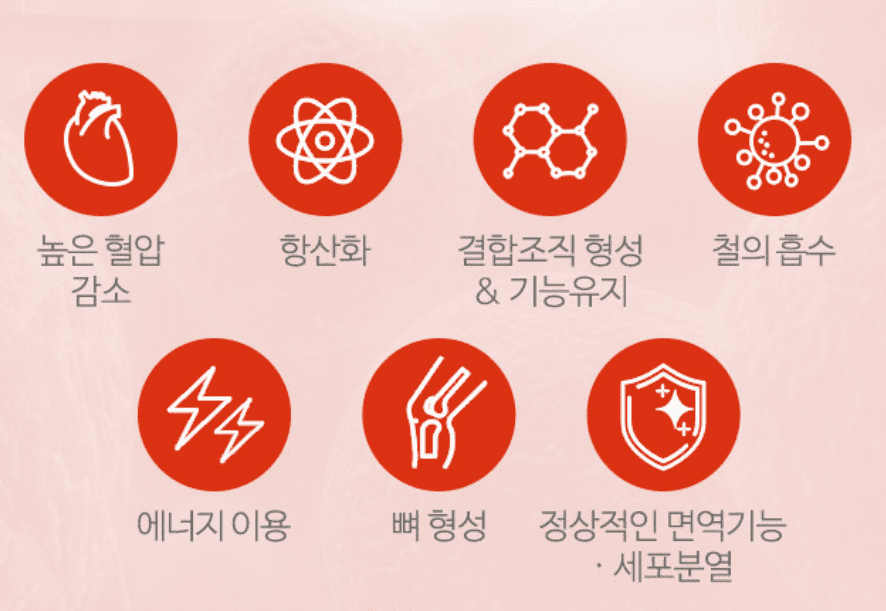혈압약(혈압 영양제) 추천 순위 TOP 5 - 네이버, 쿠팡, G마켓 인기 제품