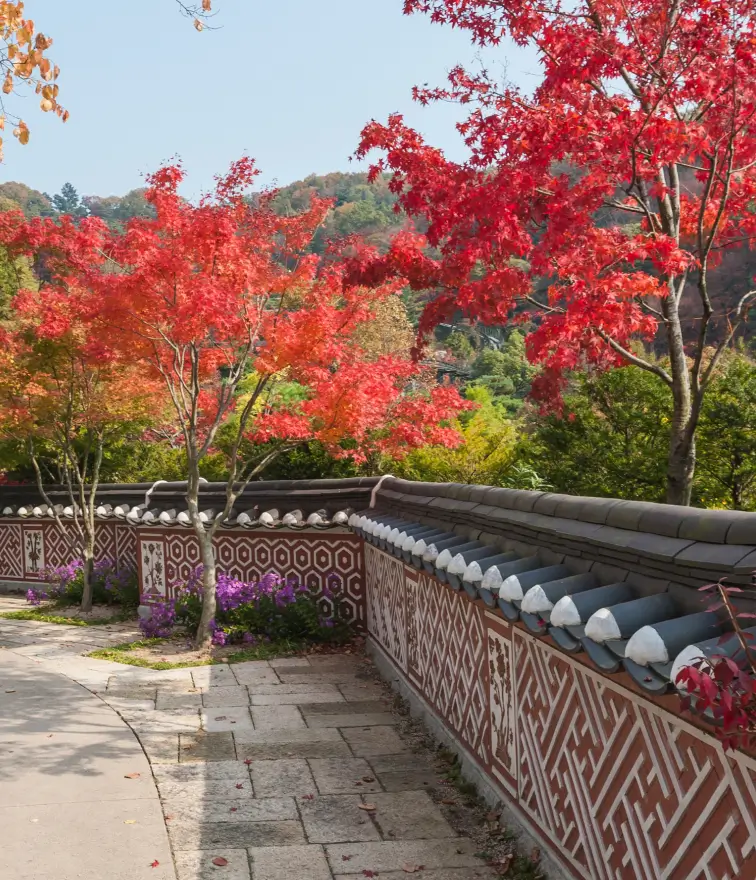 화담숲이끼숲-전통담장길