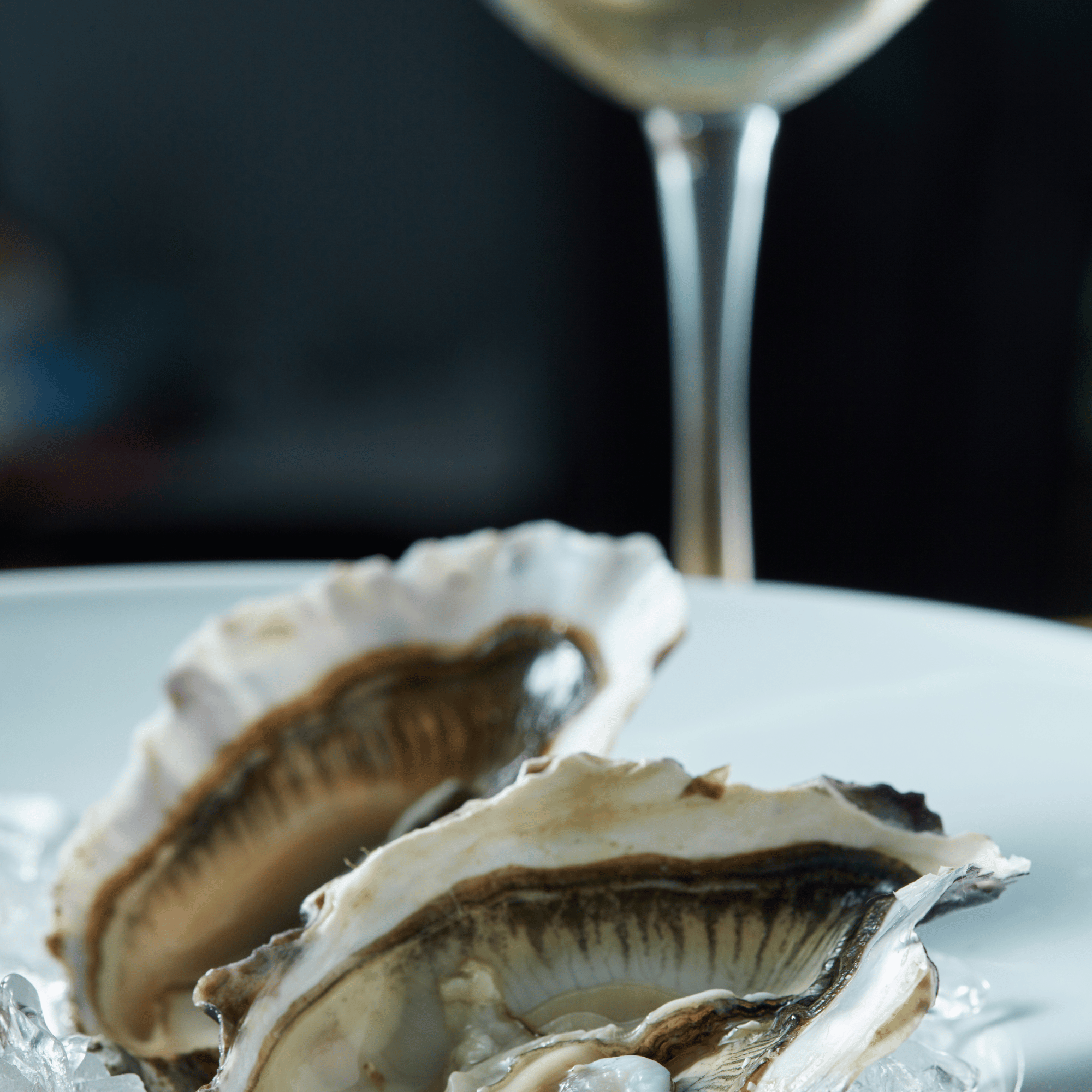 노로바이러스 증상