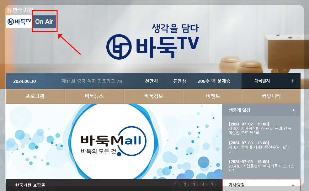 바둑티비 보는법