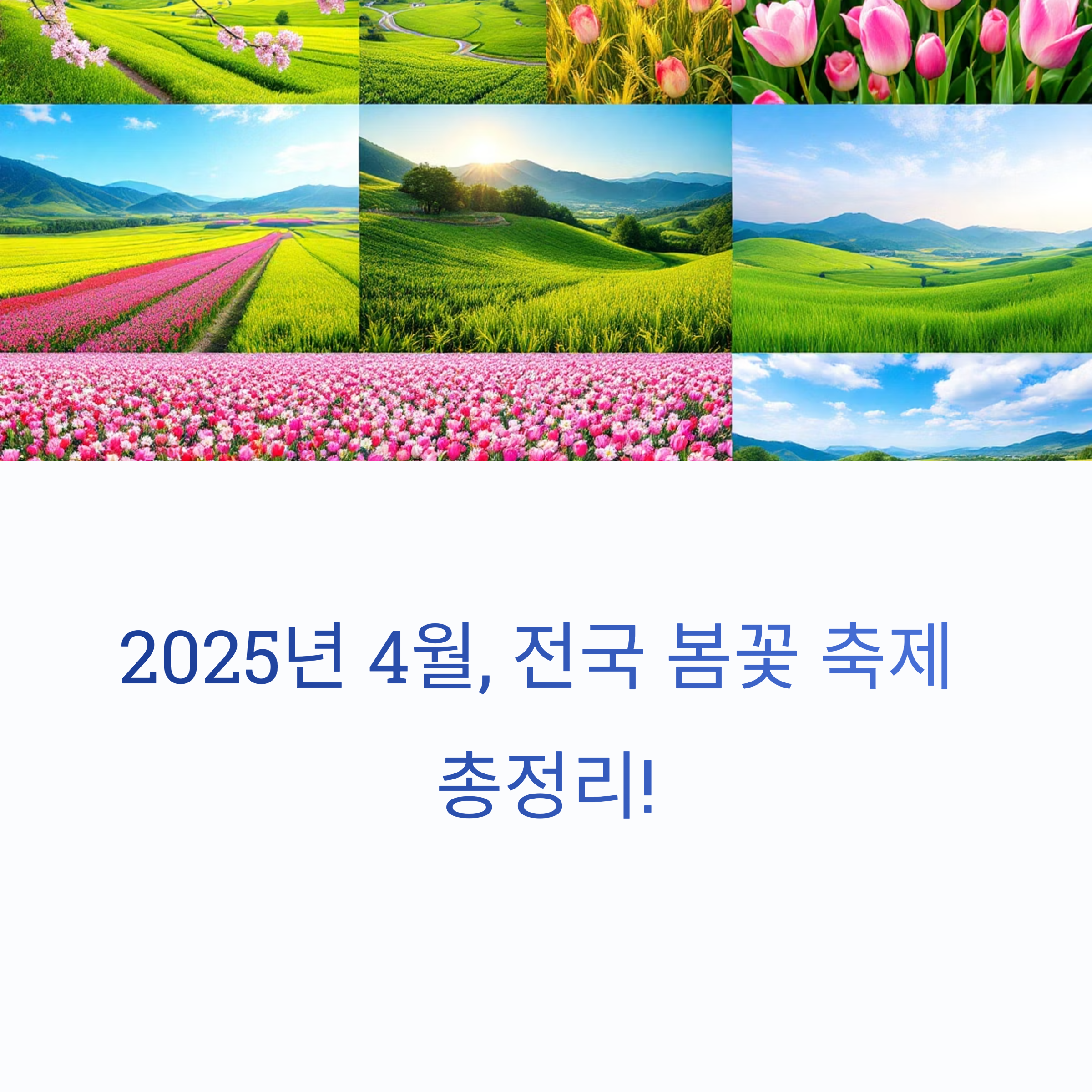 2025년 4월에 가볼 만한 봄꽃 축제 일정 안내