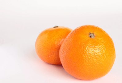 생방송오늘저녁 논산 황금향 택배 주문