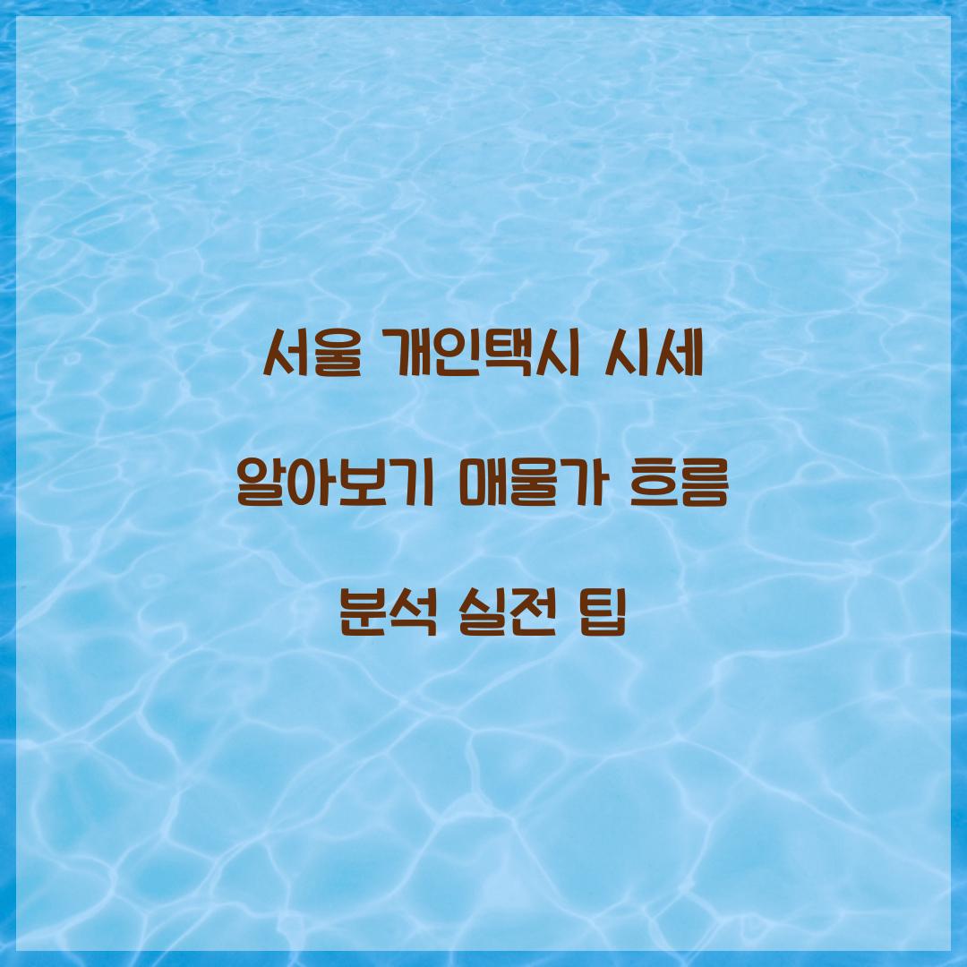 서울 개인택시 시세