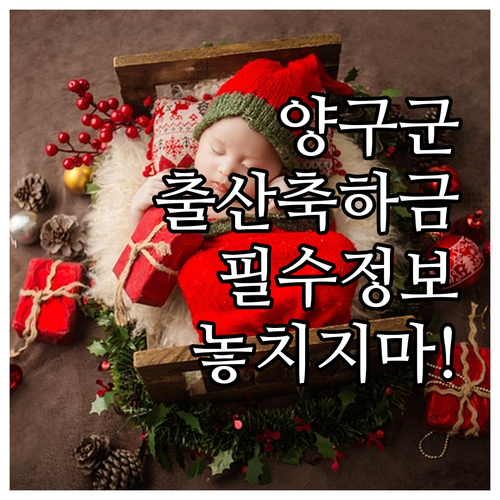 2025년 양구군 출산축하금 신청 자..