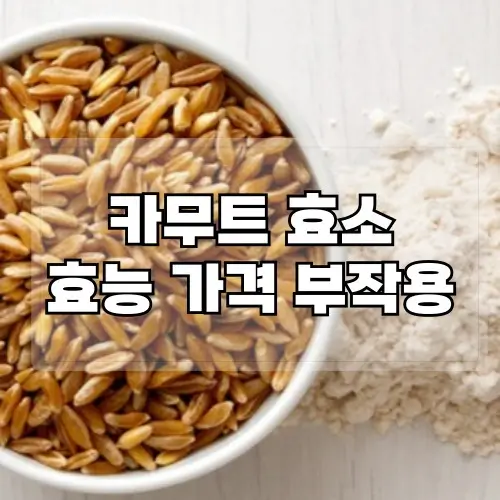 카무트-효소-효능-카무트-효소가격-부작용