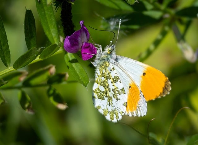 약도 알고 먹어야 보약: 건강을 지키는 올바른 복용법과 영양제 찰떡궁합