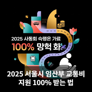2025 서울시 임산부 교통비 지원