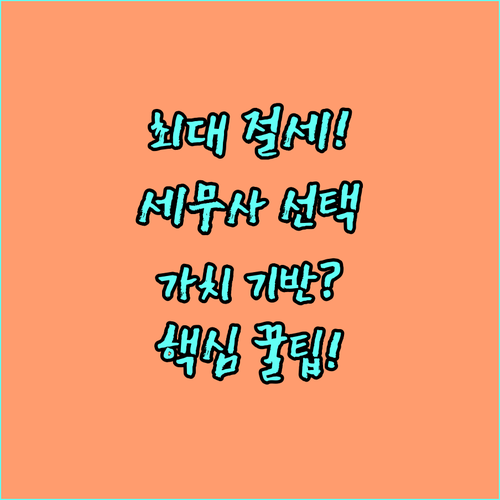 최대 절세액을 위한 가치 기반 세무사..