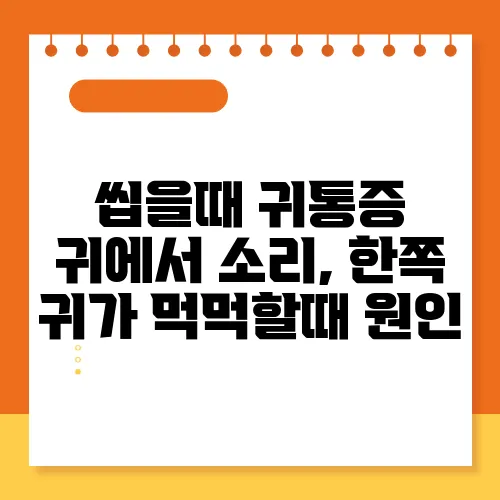 씹을때 귀통증 귀에서 소리, 한쪽 귀가 먹먹할때 원인