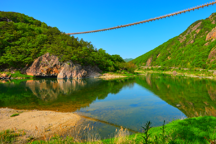 월영산 출렁다리