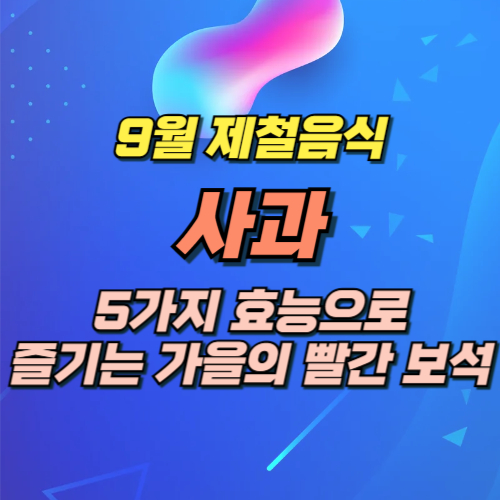 8월 제철과일 사과