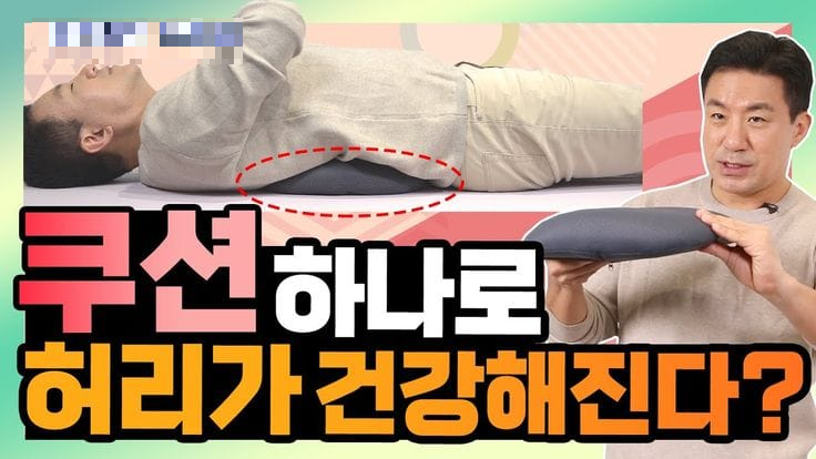 백스트레처 추천 허리 통증 직장인