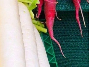 콜레스테롤 낮추는 음식