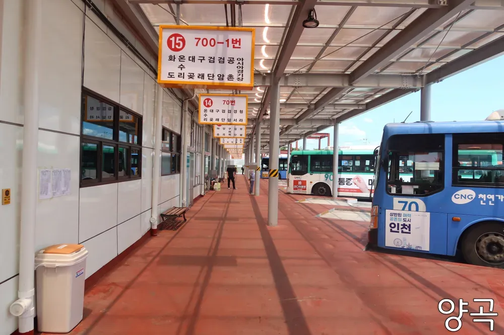 강화여객터미널 시간표 예매 주차장 주변맛집 총정리_2