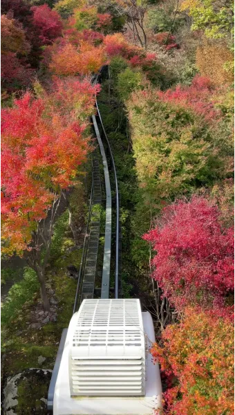 화담숲 예약하기 예약 방법 입장료 모노레일_9