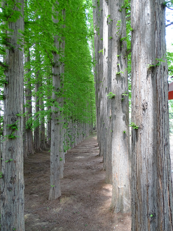 특색있고 아름다운 민간 정원 30선 추천 여행 - 28. 익산 아가페 정원
