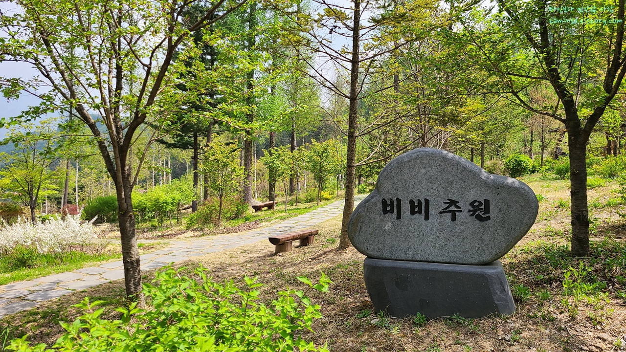 물맑음수목원-비비추원