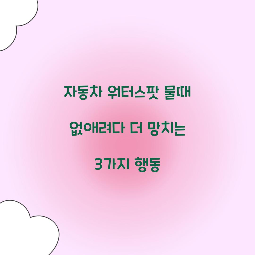 자동차 워터스팟 물때 없애려다 더 망치는 3가지 행동