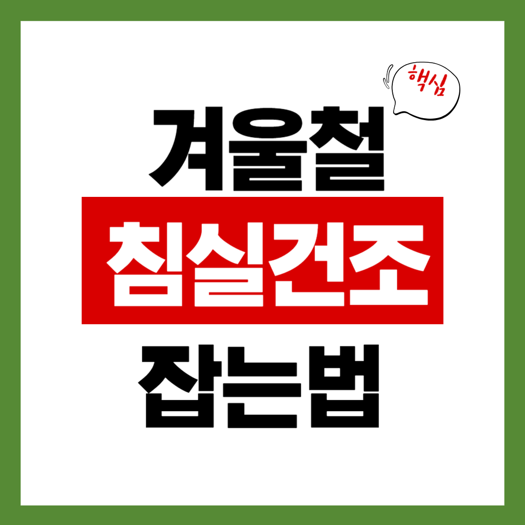 겨울 침실 건조함 잡는 6가지 방법 (습도 40~50% 유지 팁)