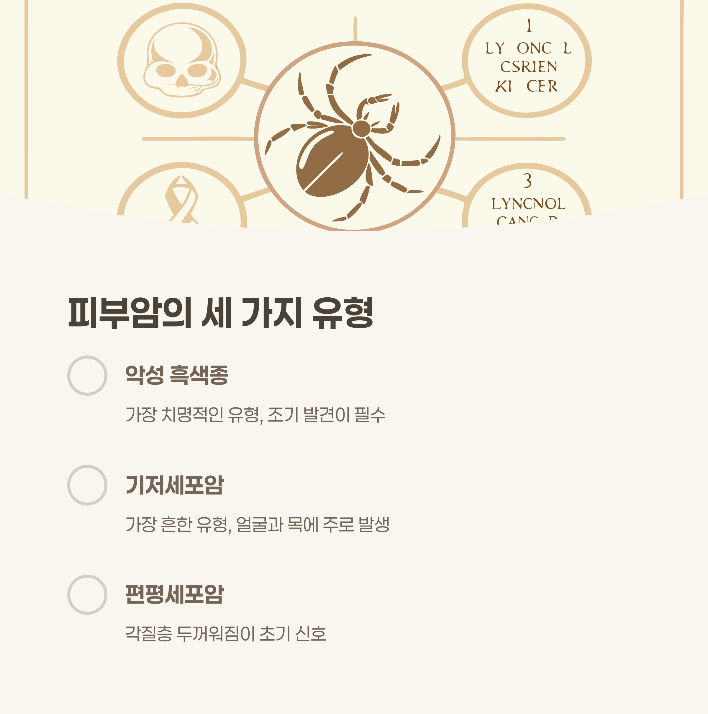 주요 피부암 초기증상: 반드시 확인해야 할 점은?