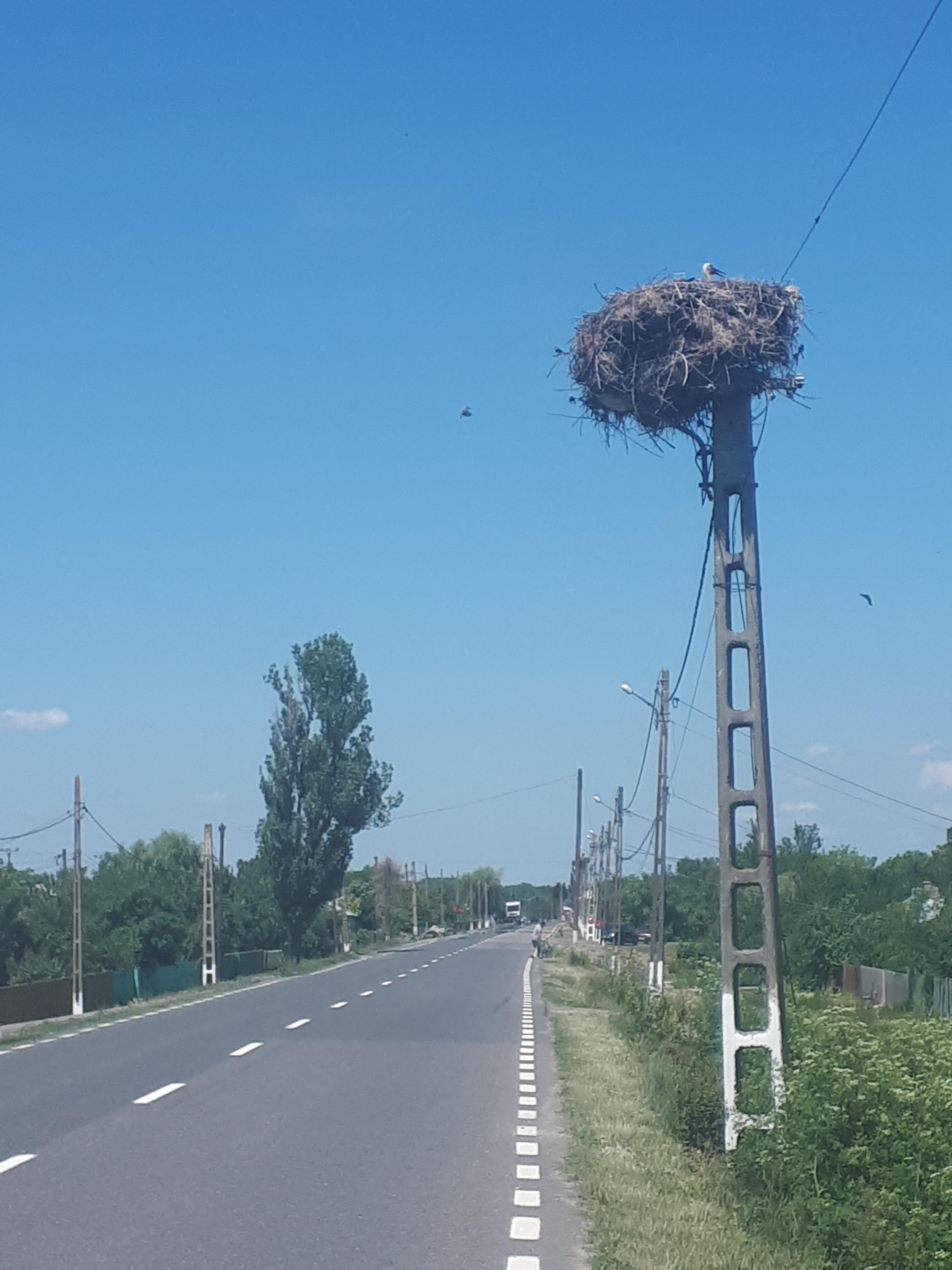 루마니아 흐르쇼바 전신주 위의 황새집