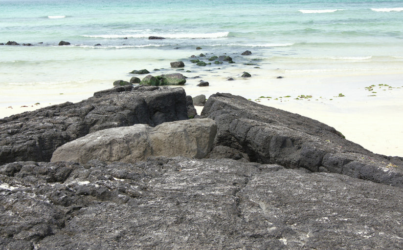월정리 해변의 검은 바위
