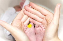 2025년 출산 혜택 출산휴가 출산 지원금 출산 택일