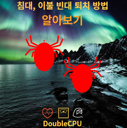 빈대 퇴치 방법