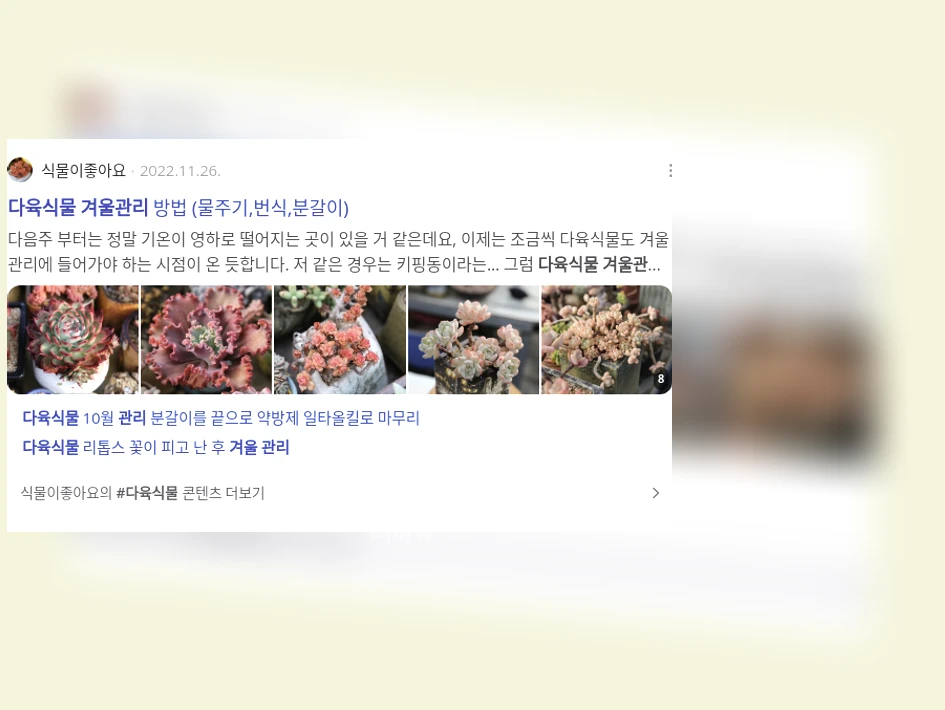 다육식물 겨울 관리_2_subsection