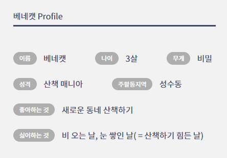 베네캣 프로필