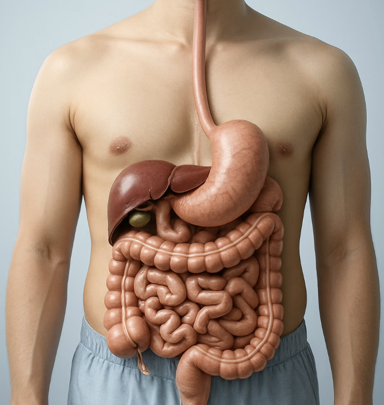 가장 흔한 불청객&amp;#44; 위장 장애와의 싸움