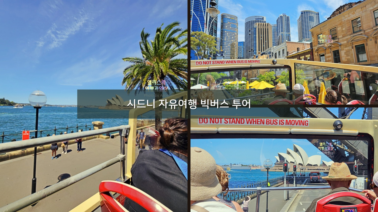 시드니 자유여행 빅버스 투어 가격 노선 할인예약 솔직후기 본다이 비치