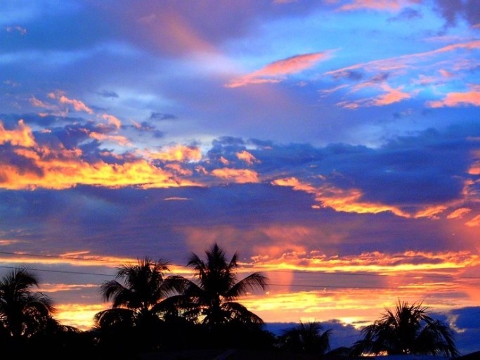 그냥 글의 느낌과 어울리는 풍경 사진을 하나 가져와 봤다.
야자수 위로 구름이 떠 있고, 그 사이로 해가 지는 일몰의 풍경사진이다.