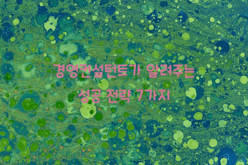 경영컨설턴트