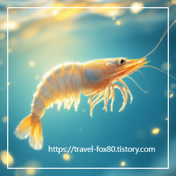 새우 꿈해몽 썸네일