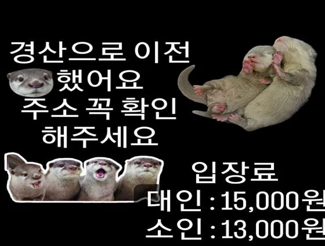 이웃집수달
