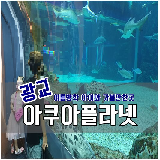 광교 아쿠아 플라넷
