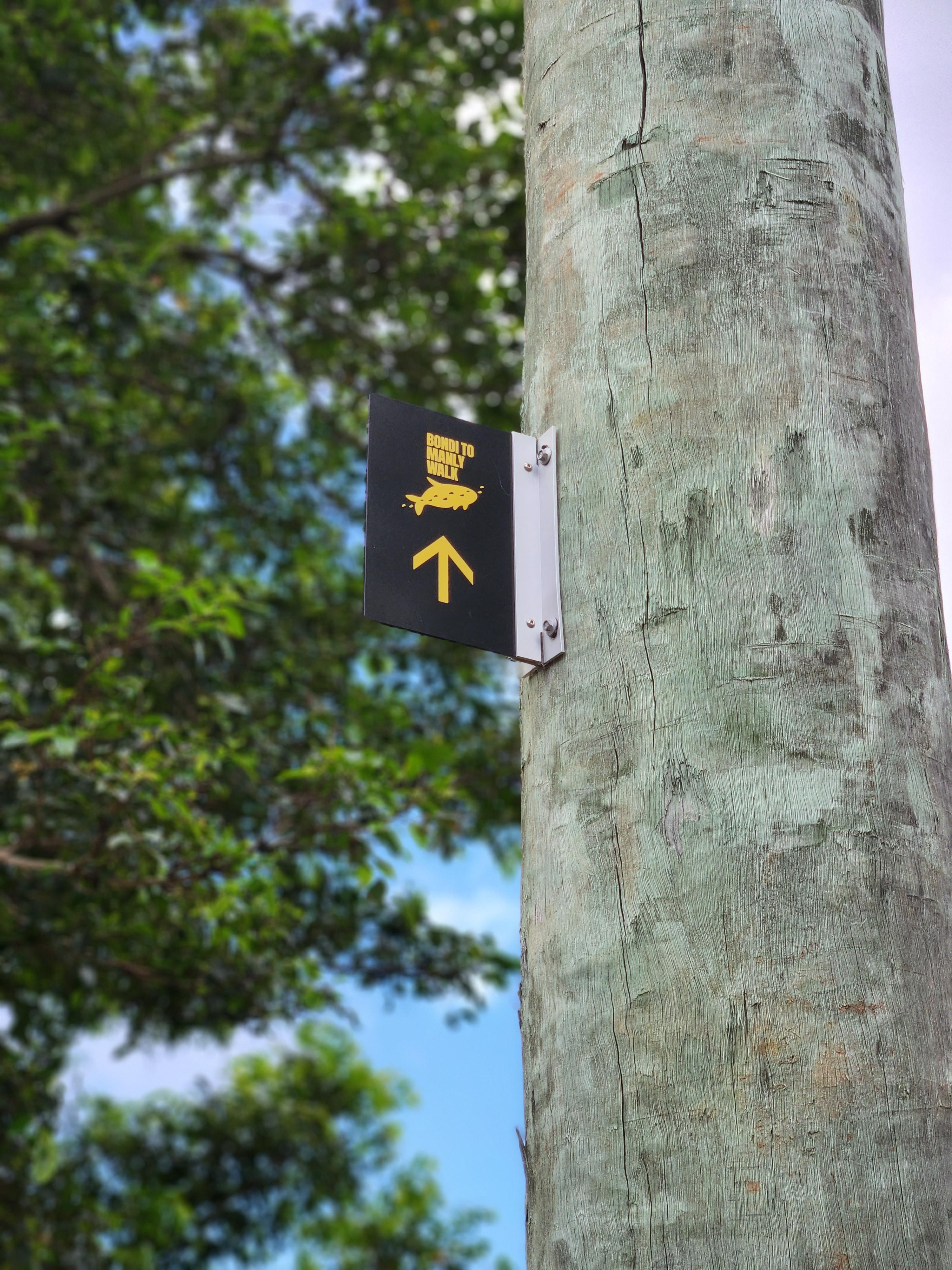 Bondi to Manly Walk 표시