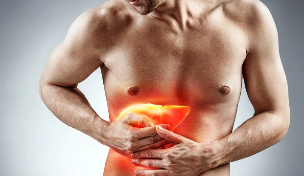 간수치 정상범위